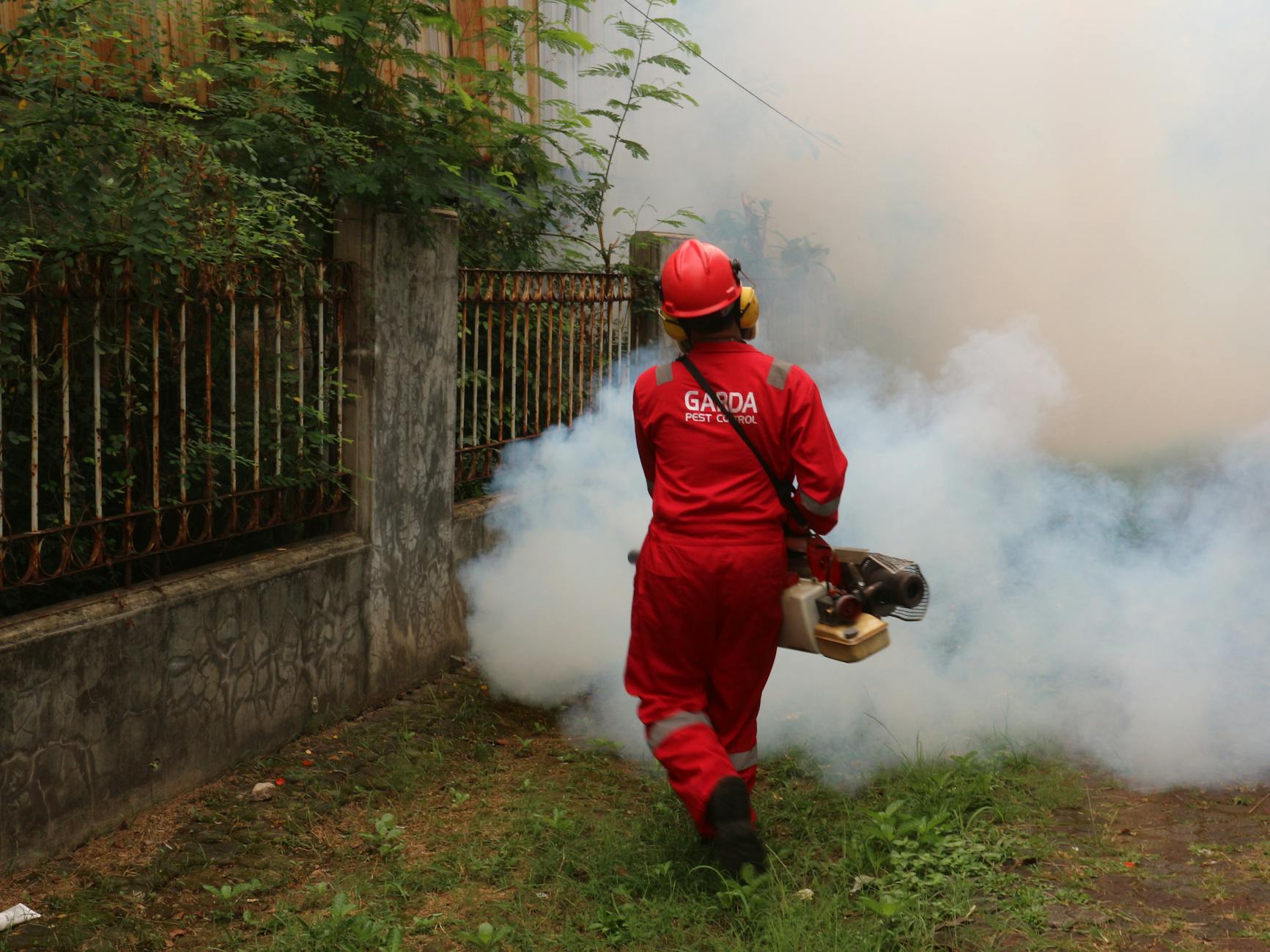 mosquito control spraying tropical city